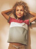Camisa pólo com dinossauro colorblock FRIPLAGE1 / 23E3PGD1POL628