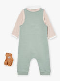 Conjunto body, jardineiras e meias caqui e avelã LOIC / 24H0CG12ENS604