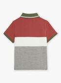 Camisa pólo com dinossauro colorblock FRIPLAGE1 / 23E3PGD1POL628