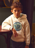 Sweat com Capuz em Peluche LADOTAGE / 24H3PGQ1SWE811