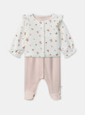 Light rose SET NOREEN / 25H0NF11ENS318