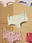 Conjunto de 5 shortys LUIBOETTE / 24H5PF52SHY001