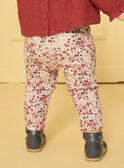 Leggings estampadas  LAPATRICIA / 24H1BFR1LG001