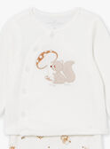 Pijama cru em veludo com estampado esquilos e cogumelos LOULOU / 24H0NM11ENS001