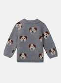 Camisola jacquard cães LAOREL / 24H1BGQ1PUL943