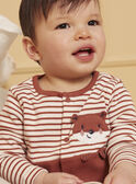Babygrow canelado com raposa LEALEXIS / 24H5BG37GREE406