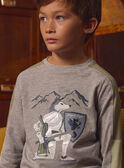 T-shirt Cinzenta Cavaleiro  LADOUBAGE / 24H3PGQ1TMLJ920