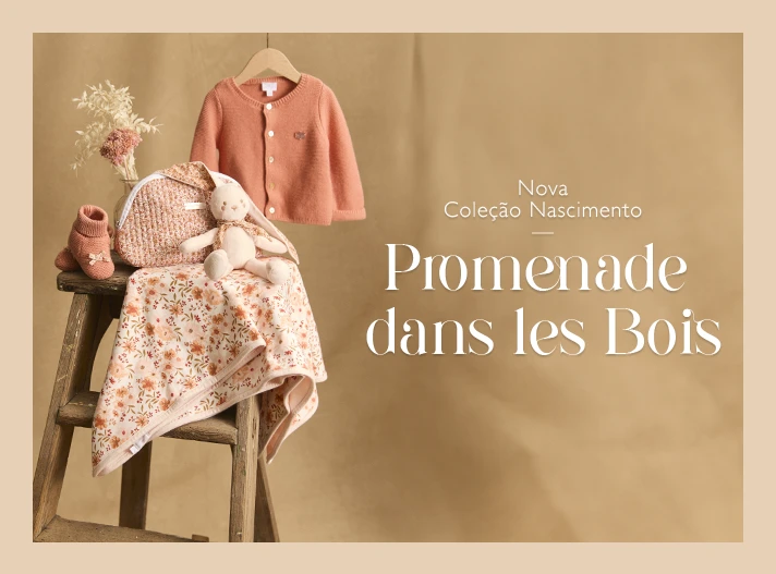 Promenade Dans Les Bois
